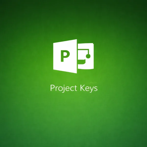 Microsoft Project 2016 Professional License Key [Instant Delivery]