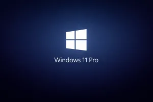 Windows 11 Pro Key [Lifetime Retail License] | Instant Delivery product image